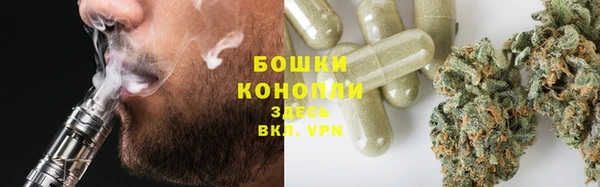бошки Заводоуковск