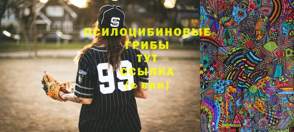 бошки Заводоуковск