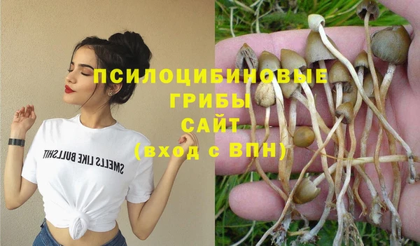 эйфоретик Заволжье