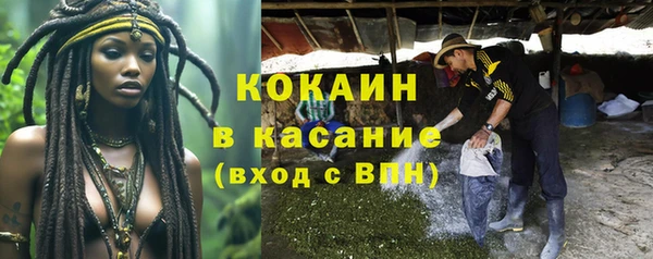 бошки Заводоуковск